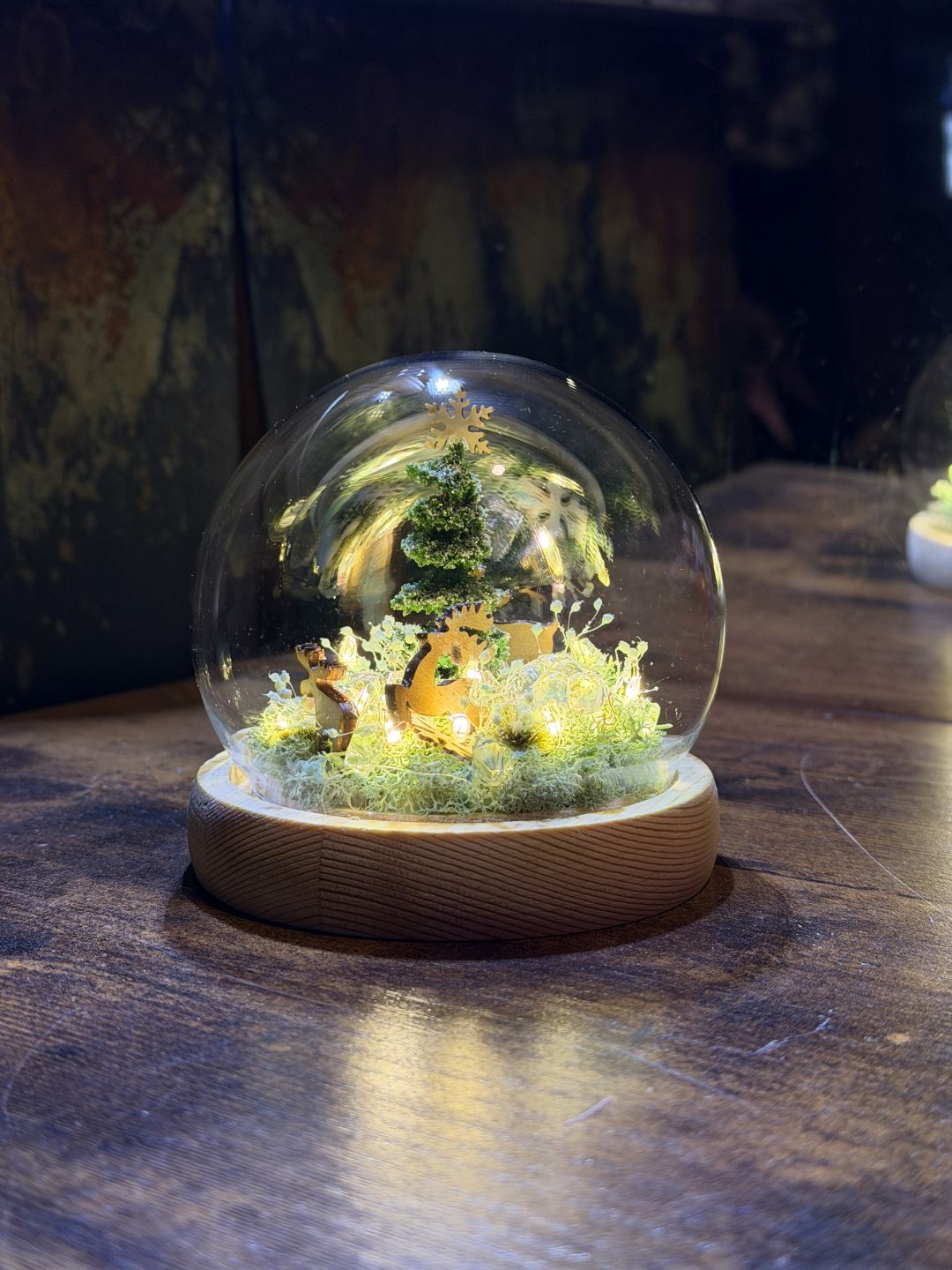 Magia Świąt - Calineczka